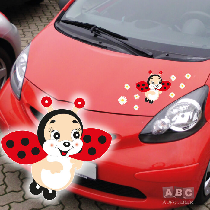 Marienkäfer Käfer Blumen Autoaufkleber Auto Aufkleber Sticker