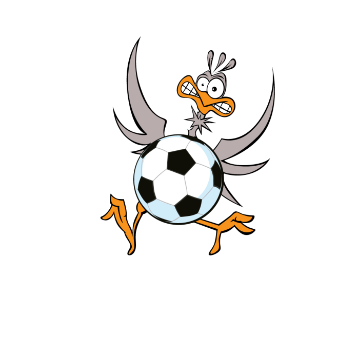Fußball Vogel Türaufkleber Name Fussball Aufkleber Türtattoo