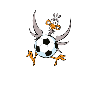 Fußball Vogel Türaufkleber Name Fussball Aufkleber Türtattoo