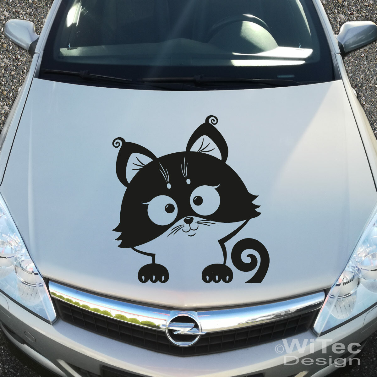 Autoaufkleber Katze Kätzchen Auto Aufkleber Sticker Digitaldruck Kitty  DA460