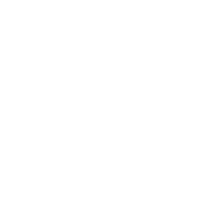 Türaufkleber Gecko Gekko Name Kinderzimmer Türtattoo