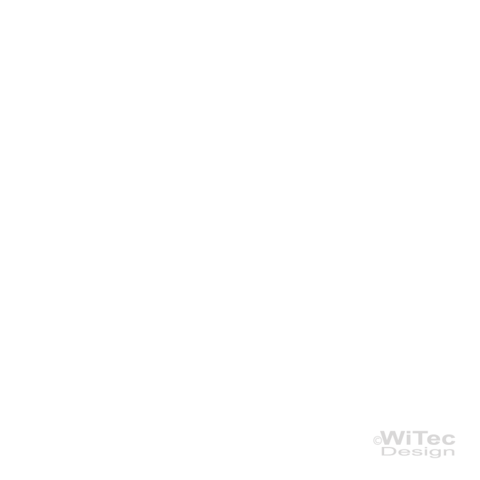 FF003 Gekko Gecko Echse Aufkleber Fahrrad sticker