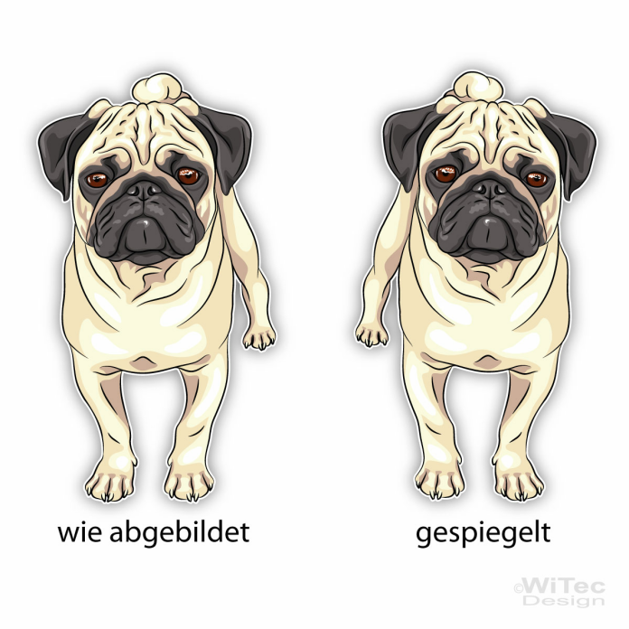 Hundeaufkleber Mops Pug Autoaufkleber