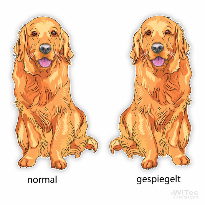 Hundeaufkleber Golden Retriever Autoaufkleber Sticker
