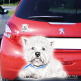 Hundeaufkleber West Highland White Terrier Autoaufkleber
