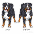 Hundeaufkleber Berner Sennenhund Autoaufkleber Sticker