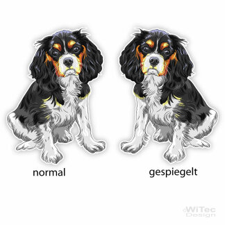 Hundeaufkleber Cavalier King Charles Spaniel Autoaufkleber