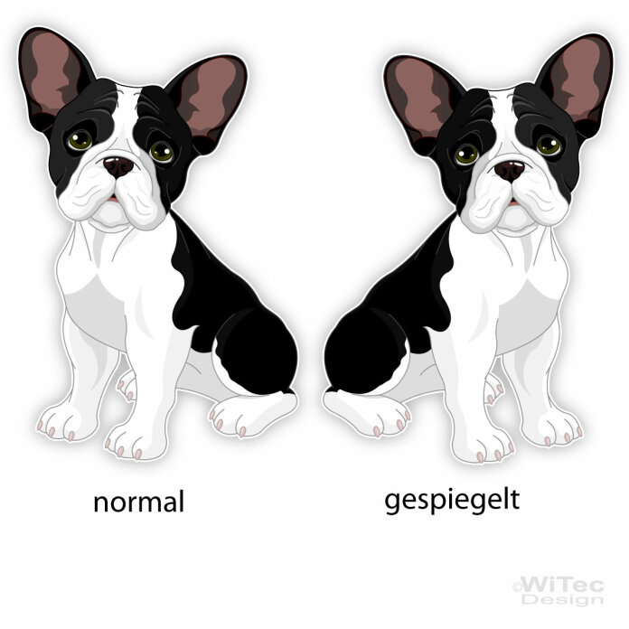 Hundeaufkleber Französische Bulldogge French Bulldog