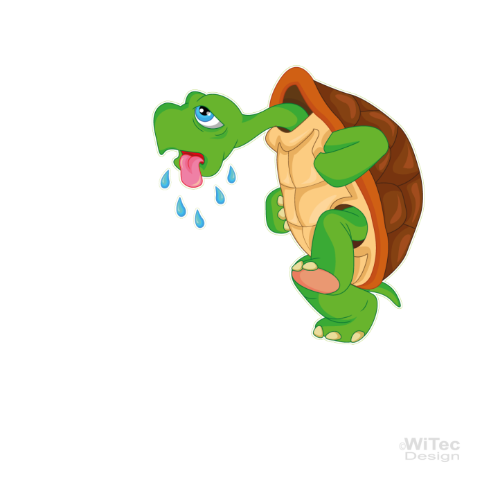 Autoaufkleber Schildkröte Ich kann nicht schneller