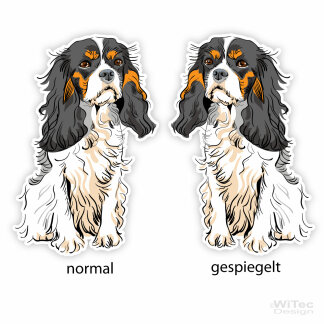 Hundeaufkleber Cavalier King Charles Spaniel Auto Aufkleber