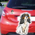 Hundeaufkleber Cavalier King Charles Spaniel Auto Aufkleber