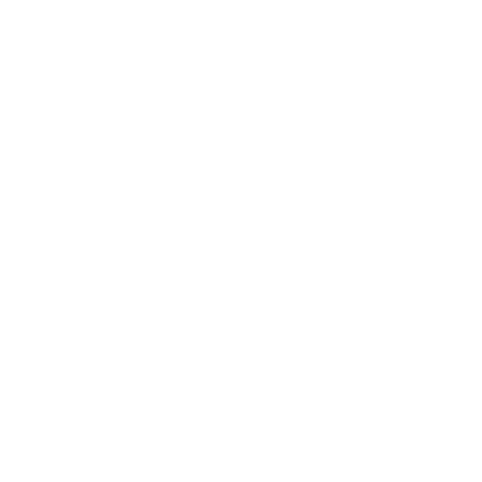 Wandtattoo Hunde Zitat Ein Leben ohne Hund ist ein Irrtum