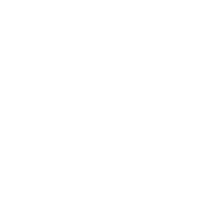 Autoaufkleber Adler Eagle Aufkleber Motorhaube