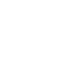 Hundeaufkleber Border Collie Name Autoaufkleber