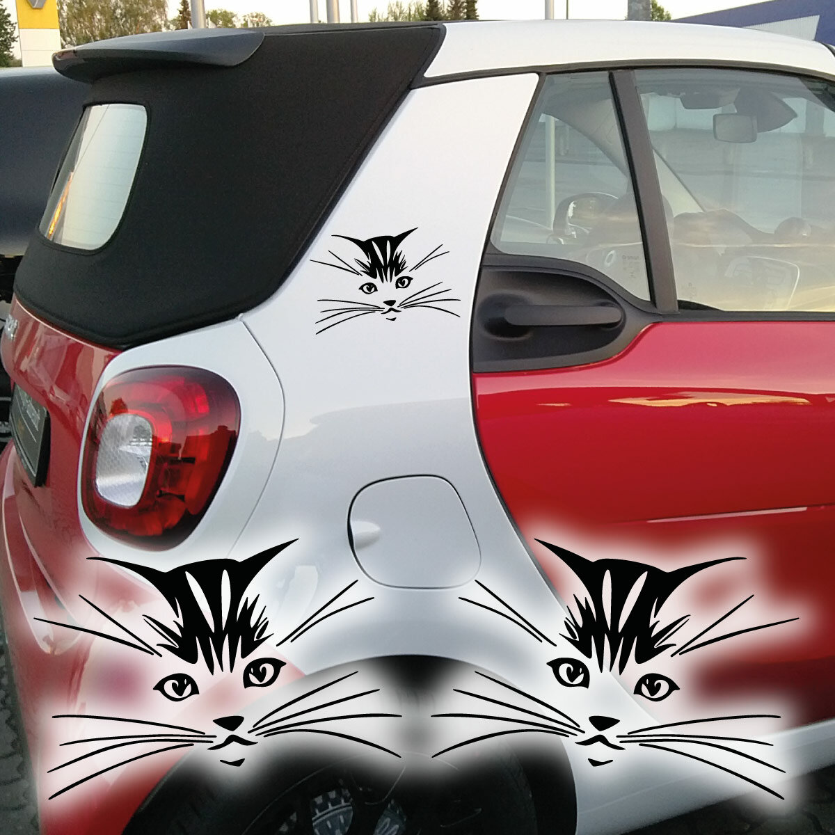 Aufkleber Auto Motorhaube Autoaufkleber Tattoo Tuning Kratz Katze Kätzchen  112