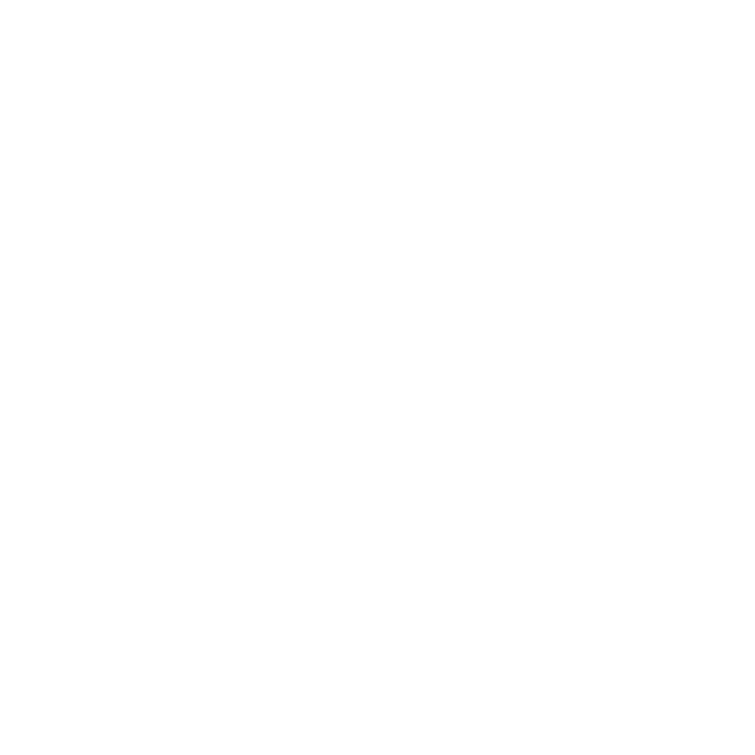 Hundeaufkleber Boxer Wunschname Autoaufkleber Pfoten