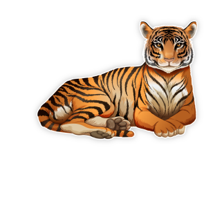 Türaufkleber Tiger Wunschname Kinderzimmer Türtattoo