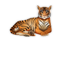 Türaufkleber Tiger Wunschname Kinderzimmer Türtattoo