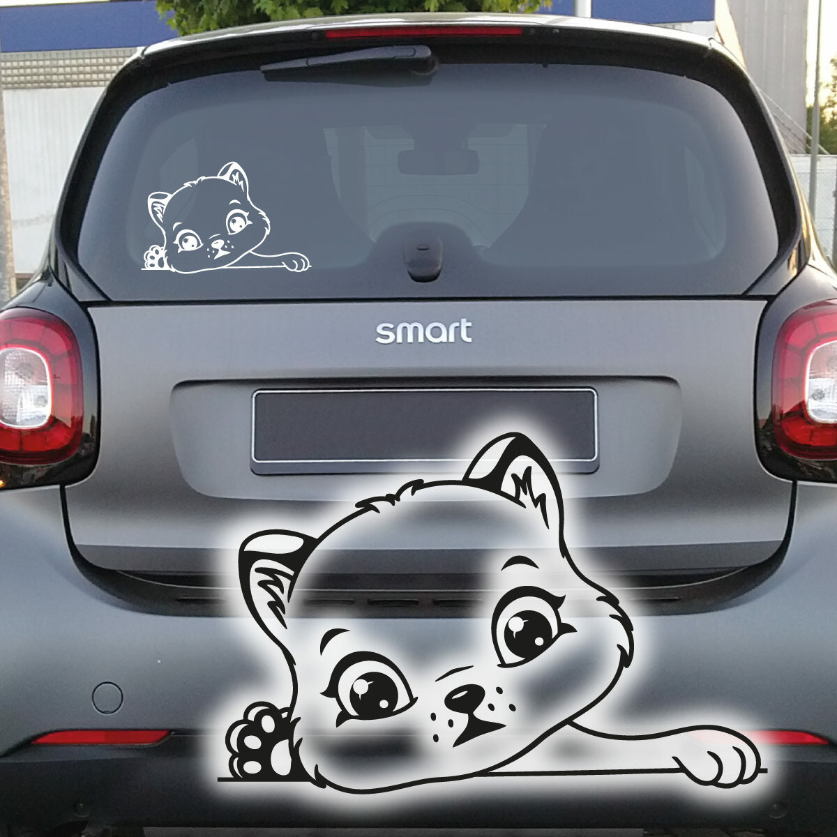 Katzen Aufkleber Autoaufkleber Sticker abc-aufkleber