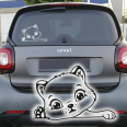 Autoaufkleber Katze Kätzchen Kitty Auto Aufkleber Sticker