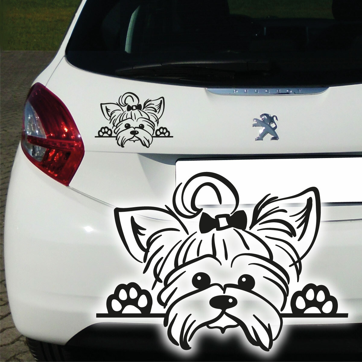 NEUE - Autoaufkleber - für Auto auch f. Transport Boxen geeignet - 2  verschiedene Größen - für alle Yorkie bzw: Yorkshire Terrier Fan's - -  Sticker - Aufkleber - Klebebild - Bild 