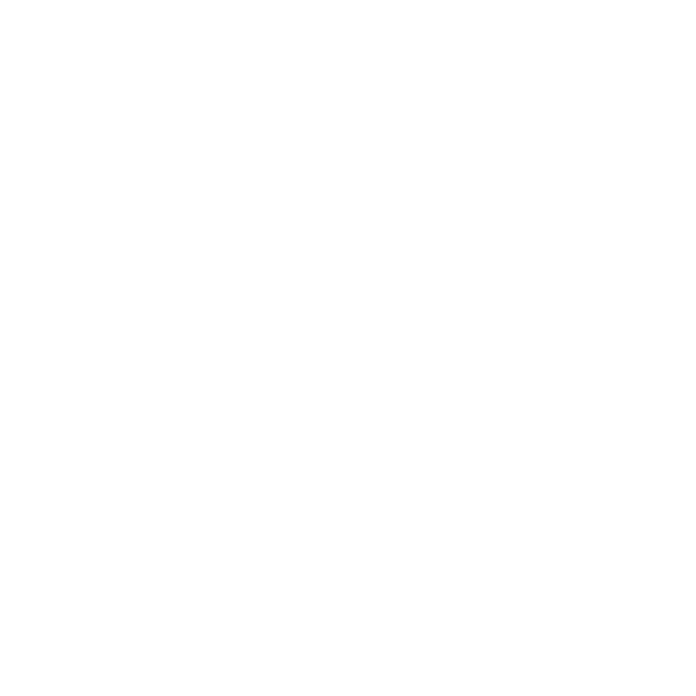 Hundeaufkleber Airedale Terrier Name Pfoten Auto Aufkleber