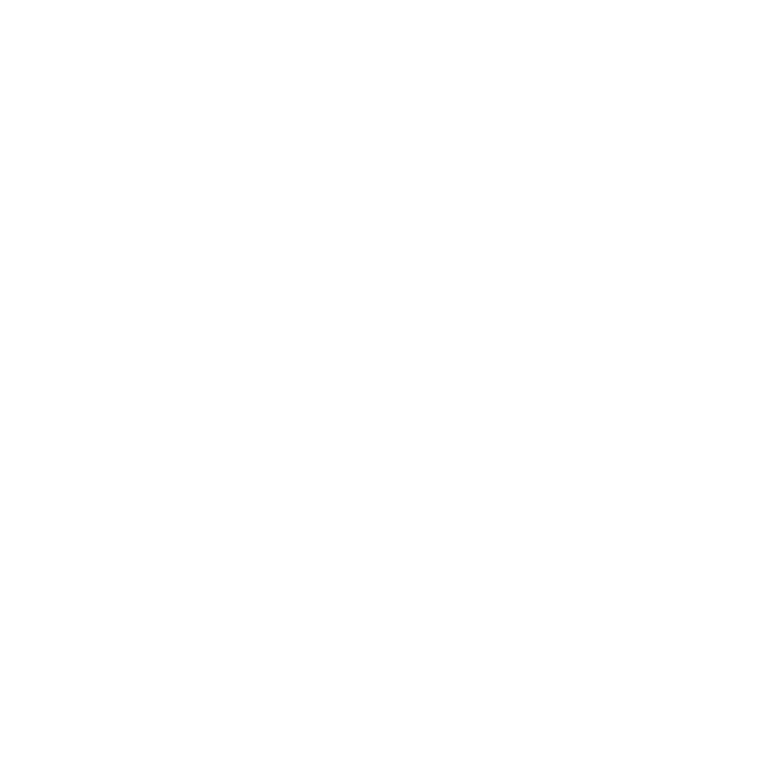 Hundeaufkleber Barsoi Borzoi Windhund Name Auto Aufkleber