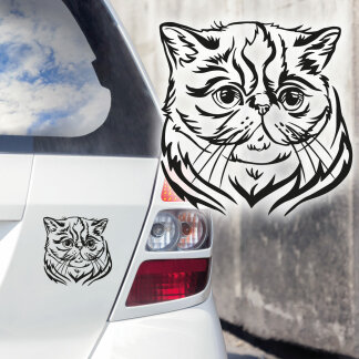 Autoaufkleber Katze Exotic Shorthair Auto Aufkleber