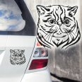 Autoaufkleber Katze Exotic Shorthair Auto Aufkleber