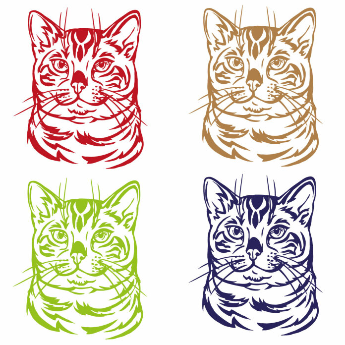 Autoaufkleber Bengalkatze Bengal Katze Auto Aufkleber