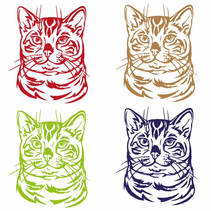Autoaufkleber Bengalkatze Bengal Katze Auto Aufkleber