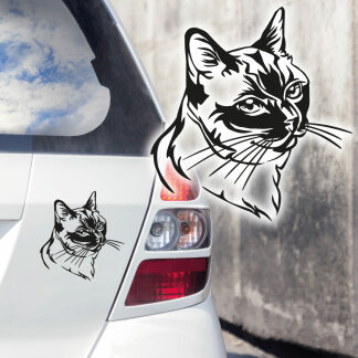 Autoaufkleber Siamkatze Auto Aufkleber Katze Thaikatze