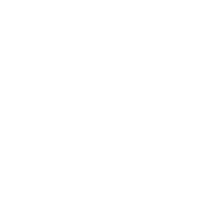 Hundeaufkleber Deutscher Boxer Wunschname Pfoten Auto Aufkleber