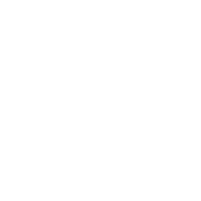Hundeaufkleber Australian Shepherd Aussie Name Pfoten Autoaufkleber