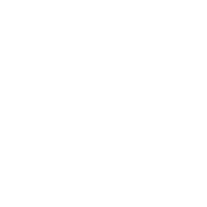 Hundeaufkleber Lagotto Romagnolo Pfote Schriftzug Auto Aufkleber