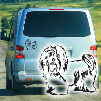 Malteser Havaneser Bologneser Aufkleber Autoaufkleber Hunde