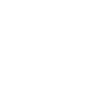 Boston Terrier Aufkleber Auto Hunde Hundeaufkleber