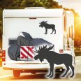 Elch Hirsch Aufkleber Wohnmobil Auto Autoaufkleber Womo