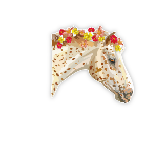 Türaufkleber Appaloosa Pferd Blumen Name Kinderzimmer