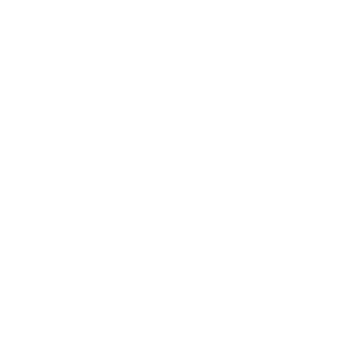 Autoaufkleber Tiger Tigerkopf Aufkleber Motorhaube