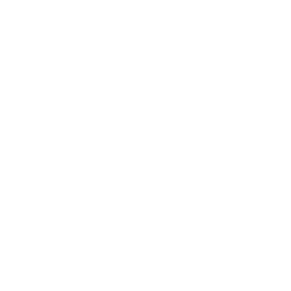 Hunde Taxi Auto Aufkleber Hundeaufkleber