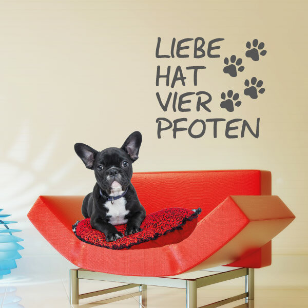 Wandtattoo Hunde Liebe hat vier Pfoten