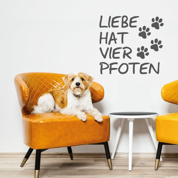 Wandtattoo Hunde Liebe hat vier Pfoten abcaufkleber.de