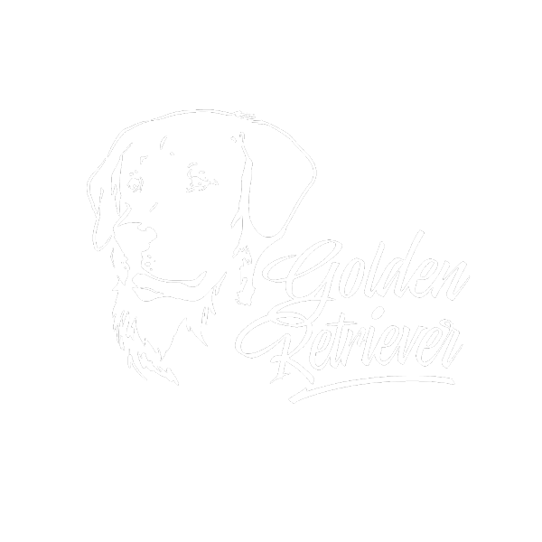 Hundeaufkleber Golden Retriever Auto Aufkleber Hunde