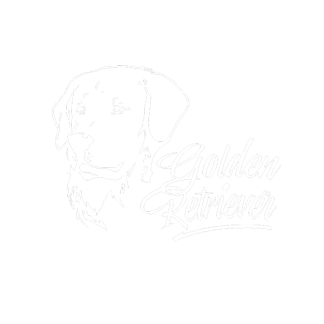 Hundeaufkleber Golden Retriever Auto Aufkleber Hunde