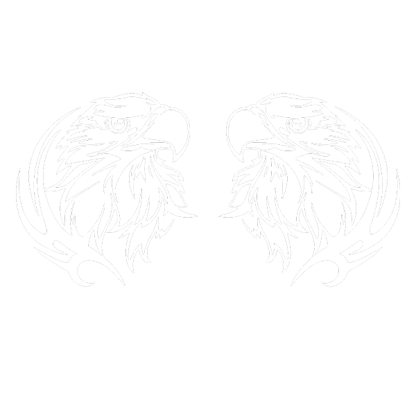 Autoaufkleber Adler Tribal Auto Aufkleber Eagle 2er Set