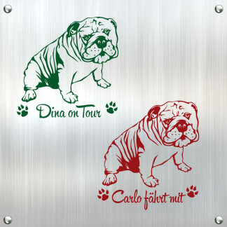 Hundeaufkleber Englische Bulldogge OEB Continental Auto Aufkleber