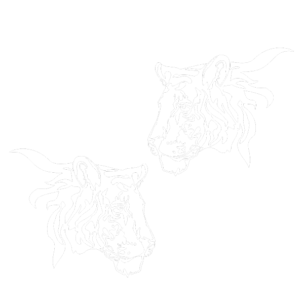 Autoaufkleber Tiger Tribal Auto Aufkleber 2er Set