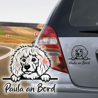 Hundeaufkleber Pudel Zwergpudel Auto Aufkleber Name