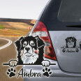 Hundeaufkleber Australian Shepherd Auto Aufkleber Name